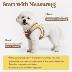 rabbitgoo dog harness vest shown from the front
