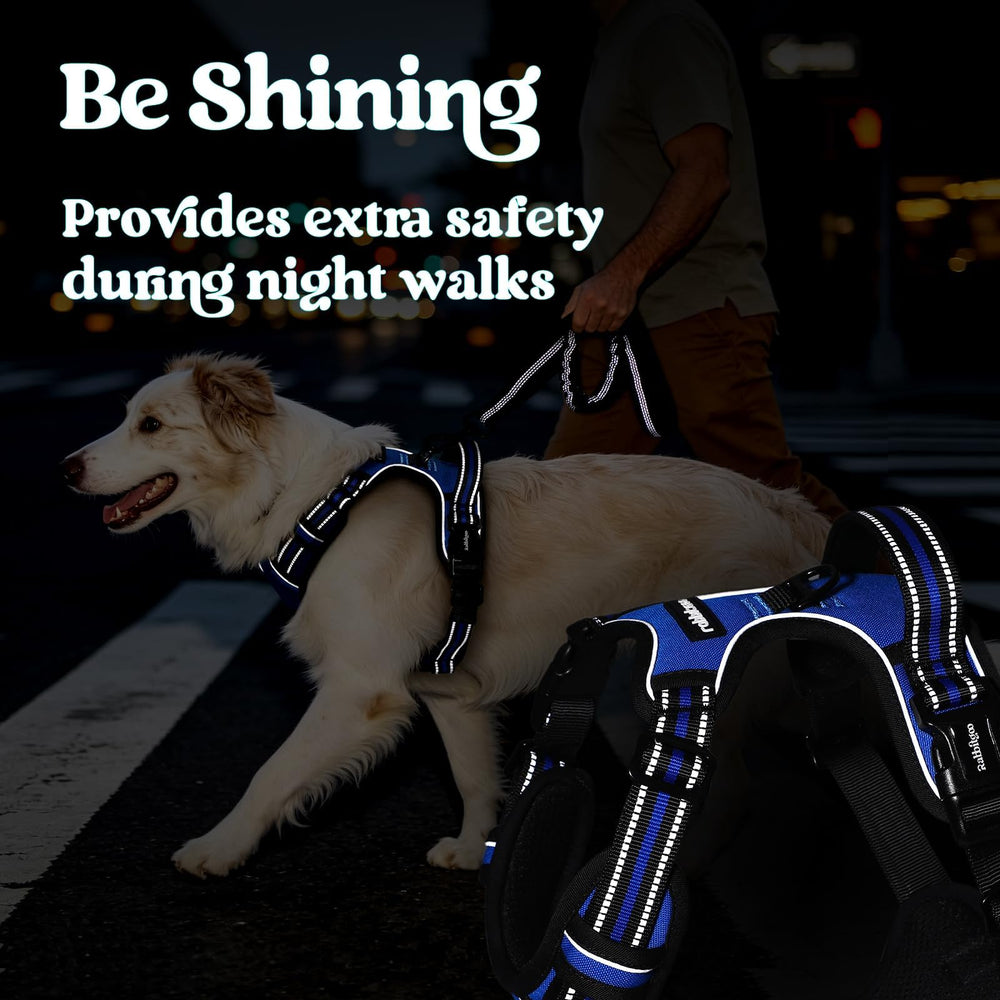 rabbitgoo Dog Harness shown worn by a dog.