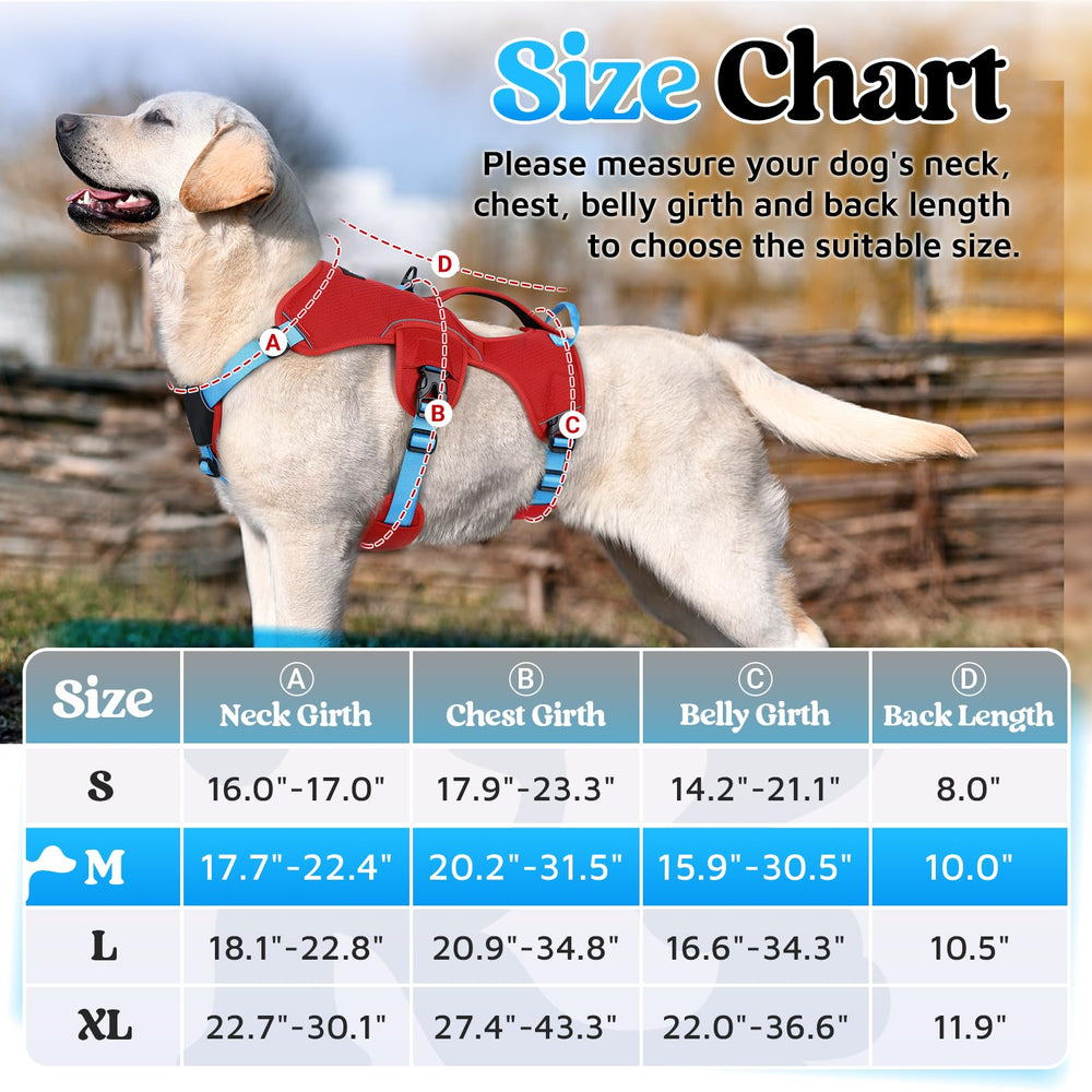 rabbitgoo dog harness fitted on a dog for an outdoor walk.