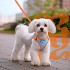 rabbitgoo dog harness shown being worn by a dog.