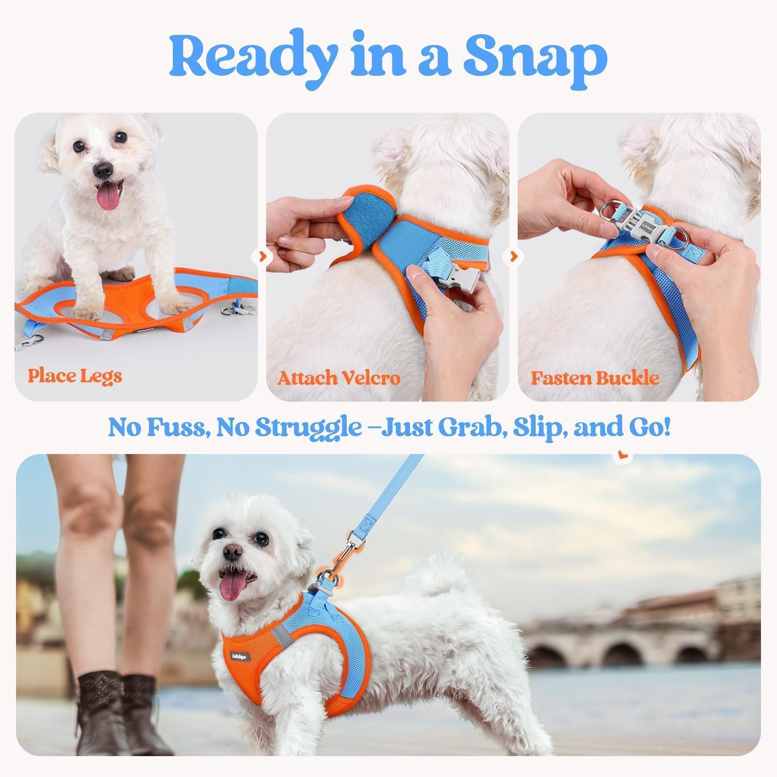 rabbitgoo dog leash close-up showing the anti-tangle clip