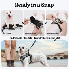 Anti-tangle clip on the rabbitgoo dog leash.