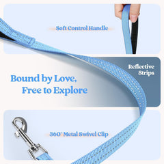 rabbitgoo dog leash shown with its palm-padded handle.
