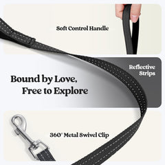 Palm-padded handle on the rabbitgoo dog leash.