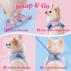 rabbitgoo dog harness and matching leash shown together as a set.