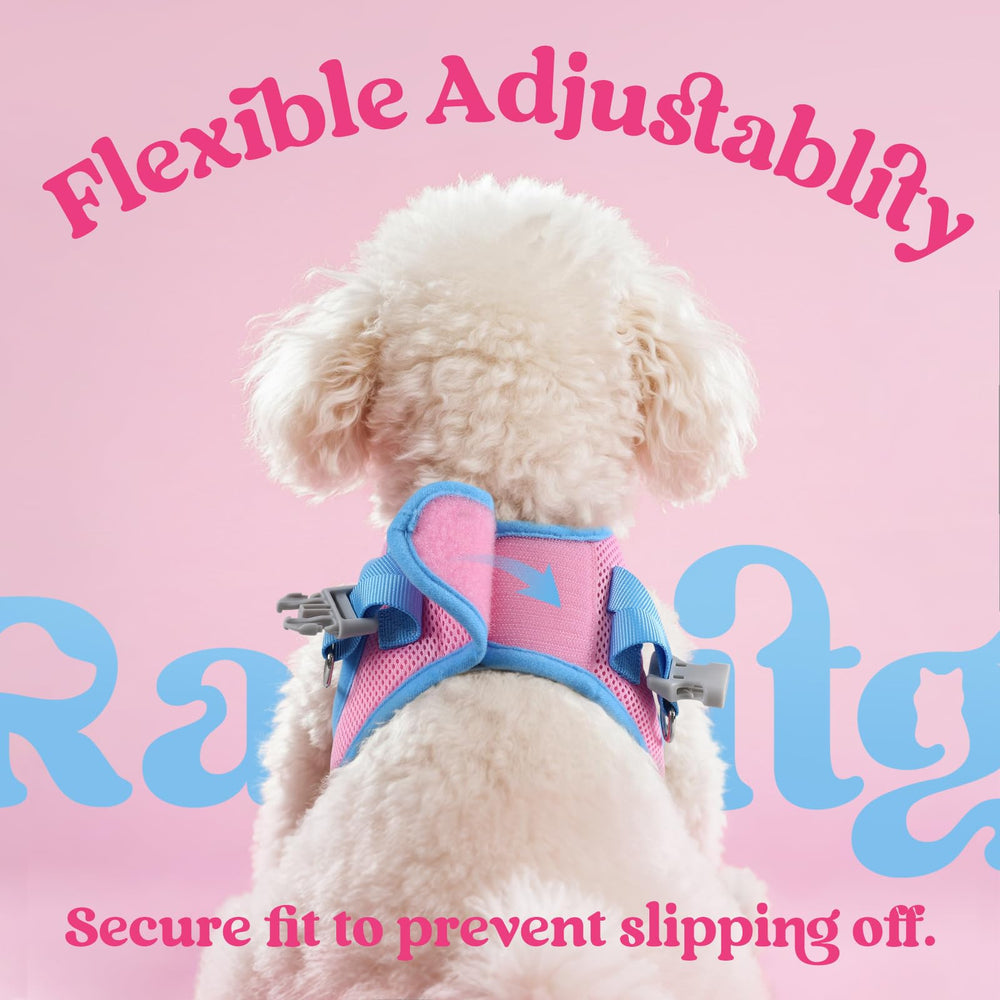 rabbitgoo dog harness detail showing the buckle and two rear D-rings.
