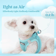 rabbitgoo dog harness close-up showing the adjustable hook-and-loop fastening.