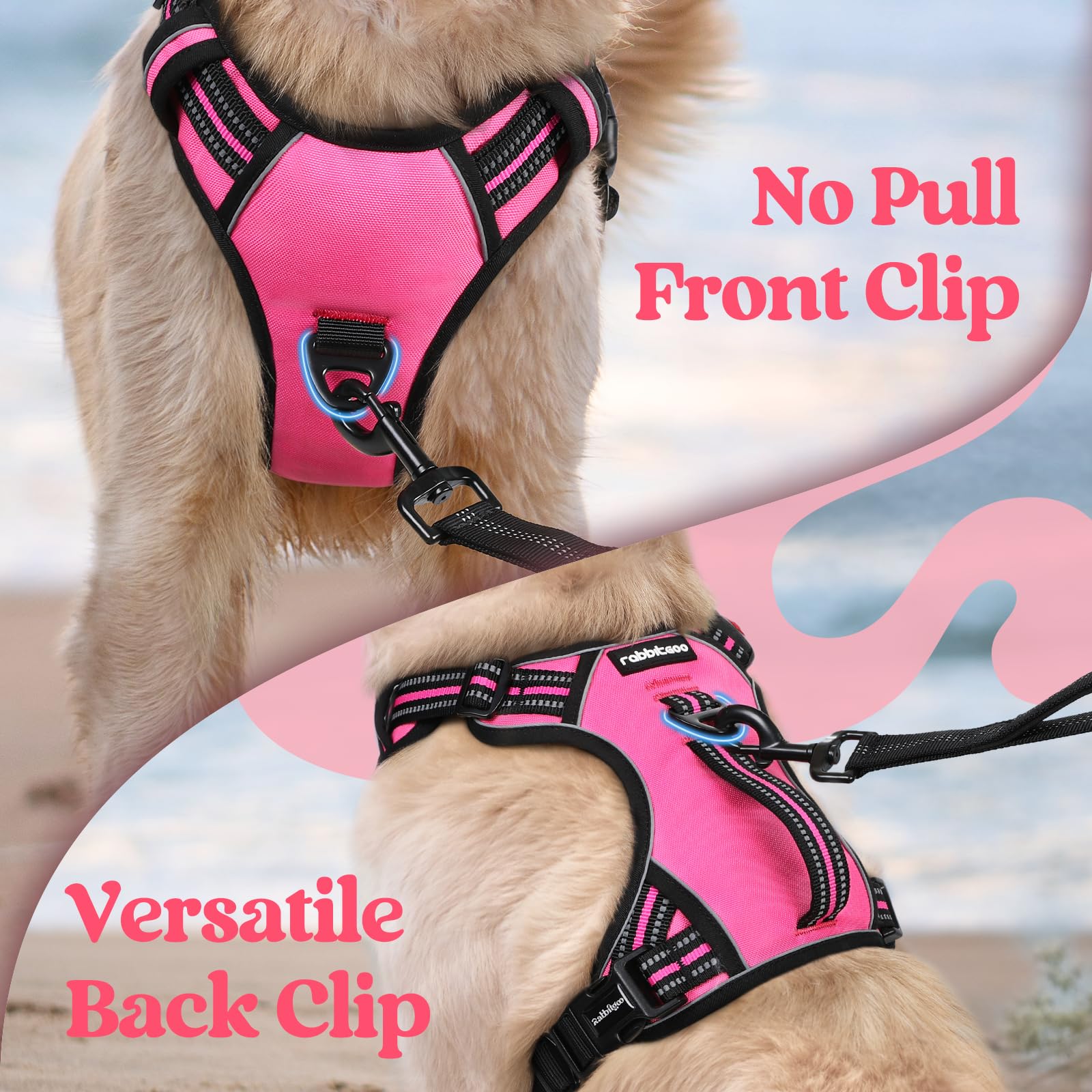 rabbitgoo Large Dog Harness showing the front metal leash attachment point.