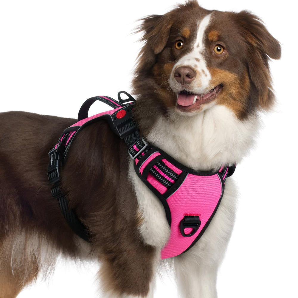 rabbitgoo Large Dog Harness shown from the front with its adjustable vest design.
