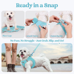 rabbitgoo leash detail showing the anti-tangle clip.
