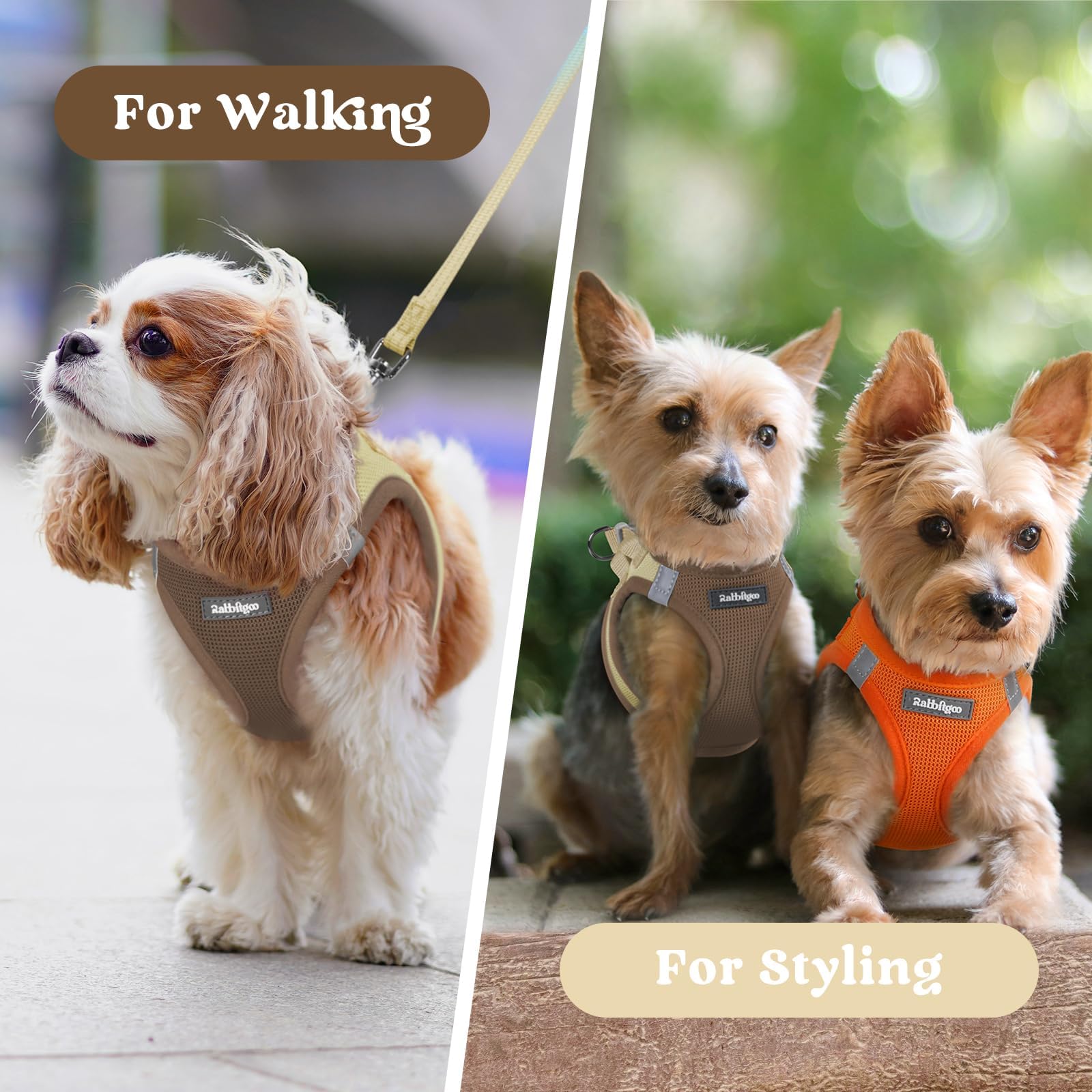 rabbitgoo Puppy Harness shown in vibrant color options.