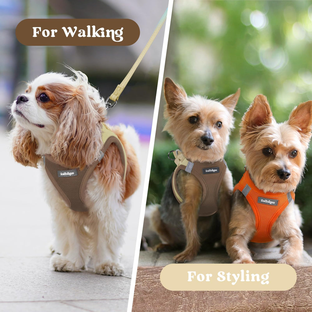 rabbitgoo Puppy Harness shown in vibrant color options.
