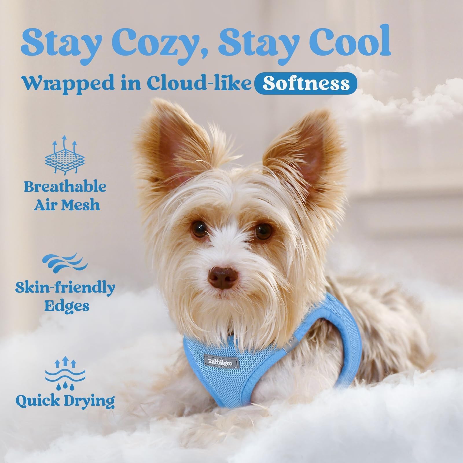 rabbitgoo Step-in Small Dog Harness displayed to show the step-in vest design.
