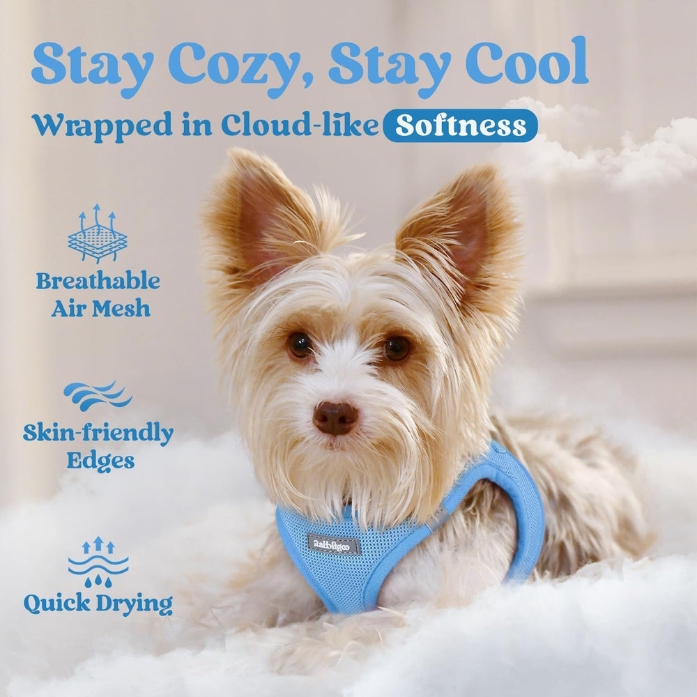 rabbitgoo Step-in Small Dog Harness displayed to show the step-in vest design.