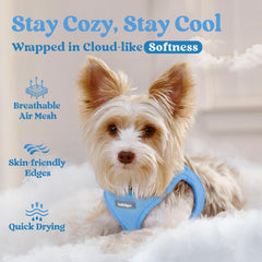 rabbitgoo Step-in Small Dog Harness displayed to show the step-in vest design.