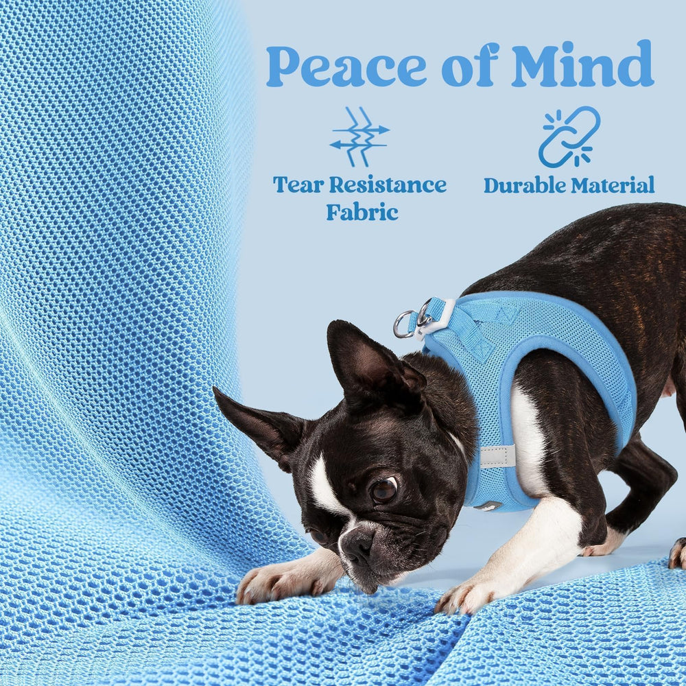 rabbitgoo Step-in Small Dog Harness shown from a side angle.