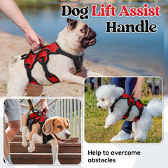 rabbitgoo small dog harness showing the adjustable chest and belly straps.