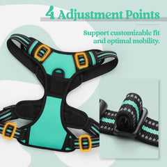 Rabbitgoo small dog harness with its adjustable neck and chest straps.