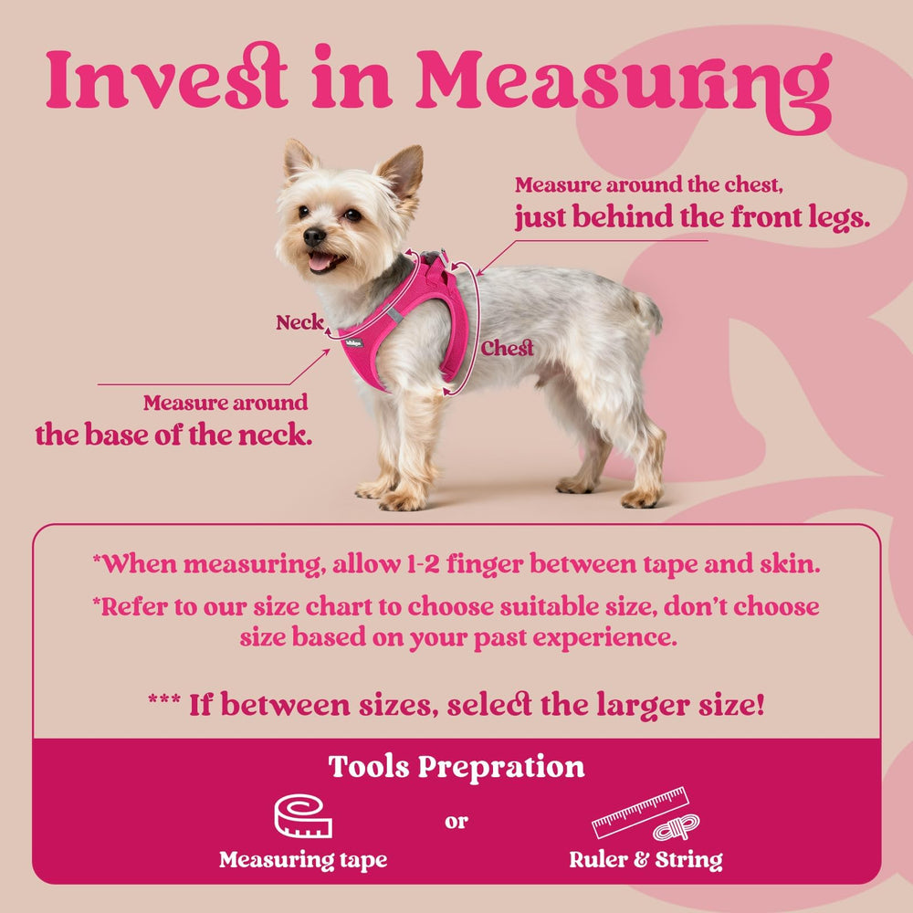 rabbitgoo Step-in Small Dog Harness with its air mesh fabric in close-up.