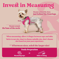 rabbitgoo Step-in Small Dog Harness with its air mesh fabric in close-up.