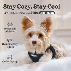 rabbitgoo small dog harness air mesh fabric in close-up.