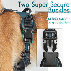 rabbitgoo small dog harness back metal leash attachment clip.