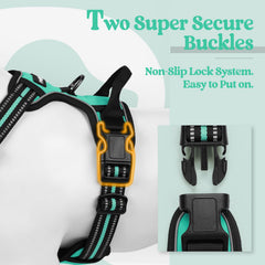 Rabbitgoo small dog harness back ring shown for leash attachment.