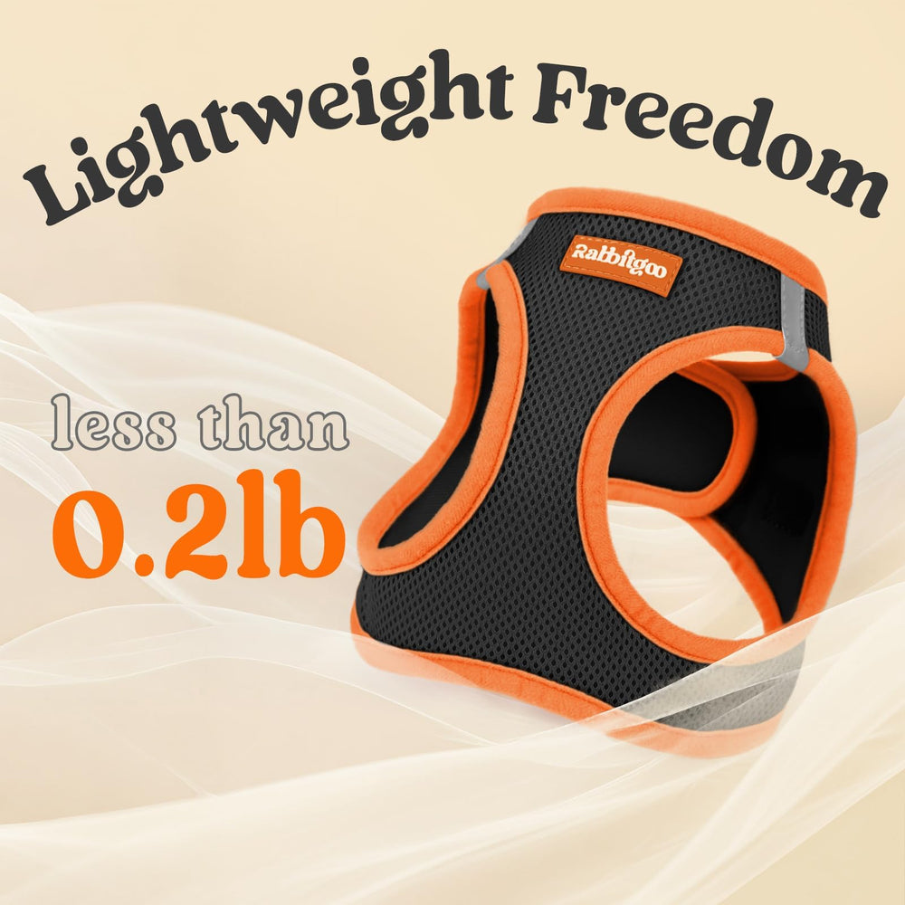 rabbitgoo small dog harness buckle and rear D-rings shown in detail.