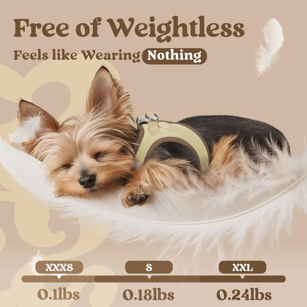 rabbitgoo Small Dog Harness buckle and hook-and-loop closure detail.