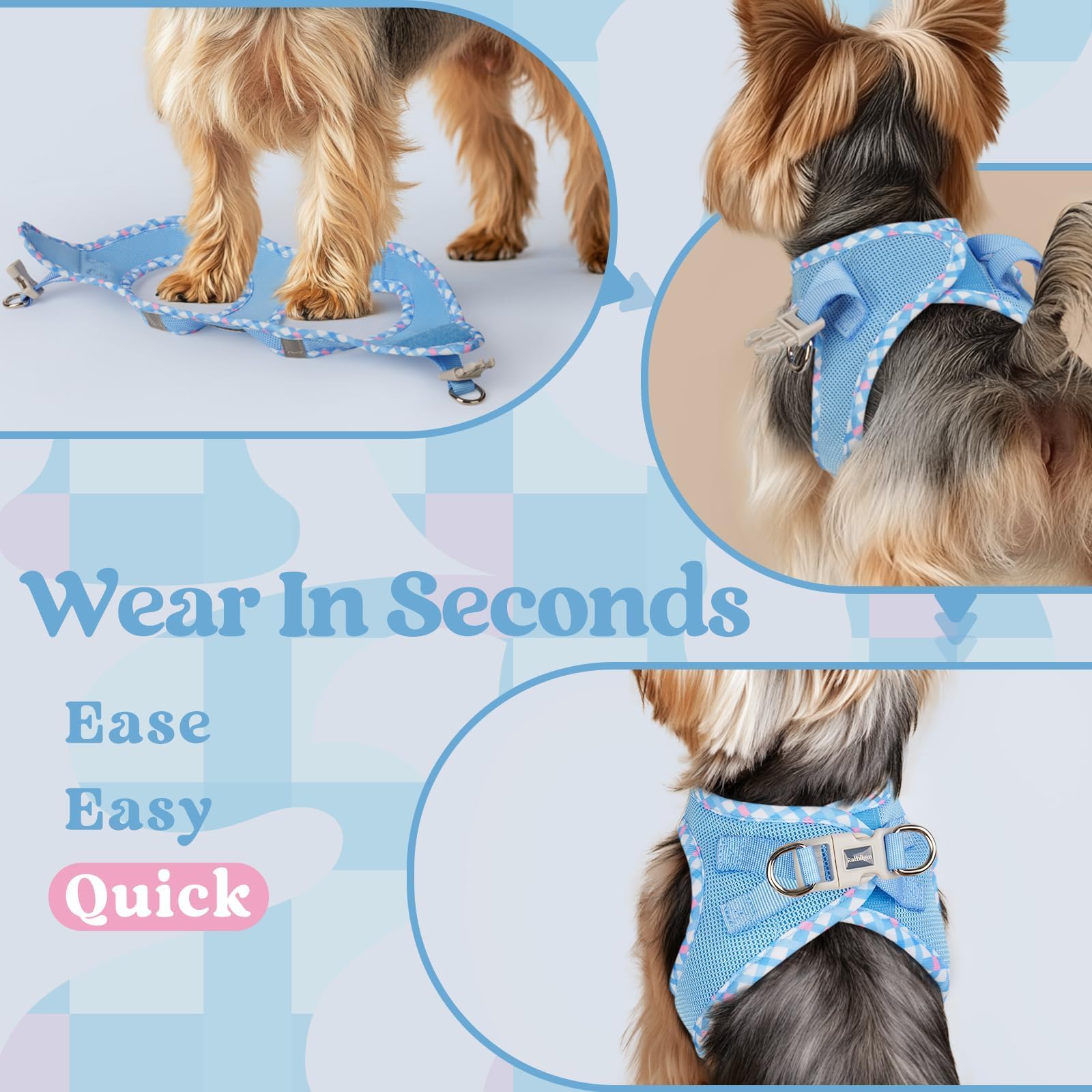 rabbitgoo small dog harness detail showing its buckle and D-rings.