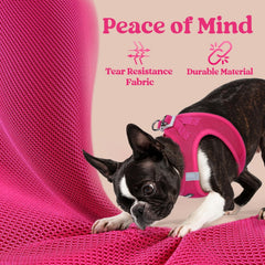 rabbitgoo small dog harness with a close-up view of the buckle.