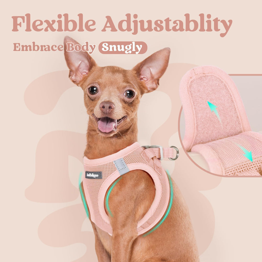 rabbitgoo small dog harness showing one of its D-rings.