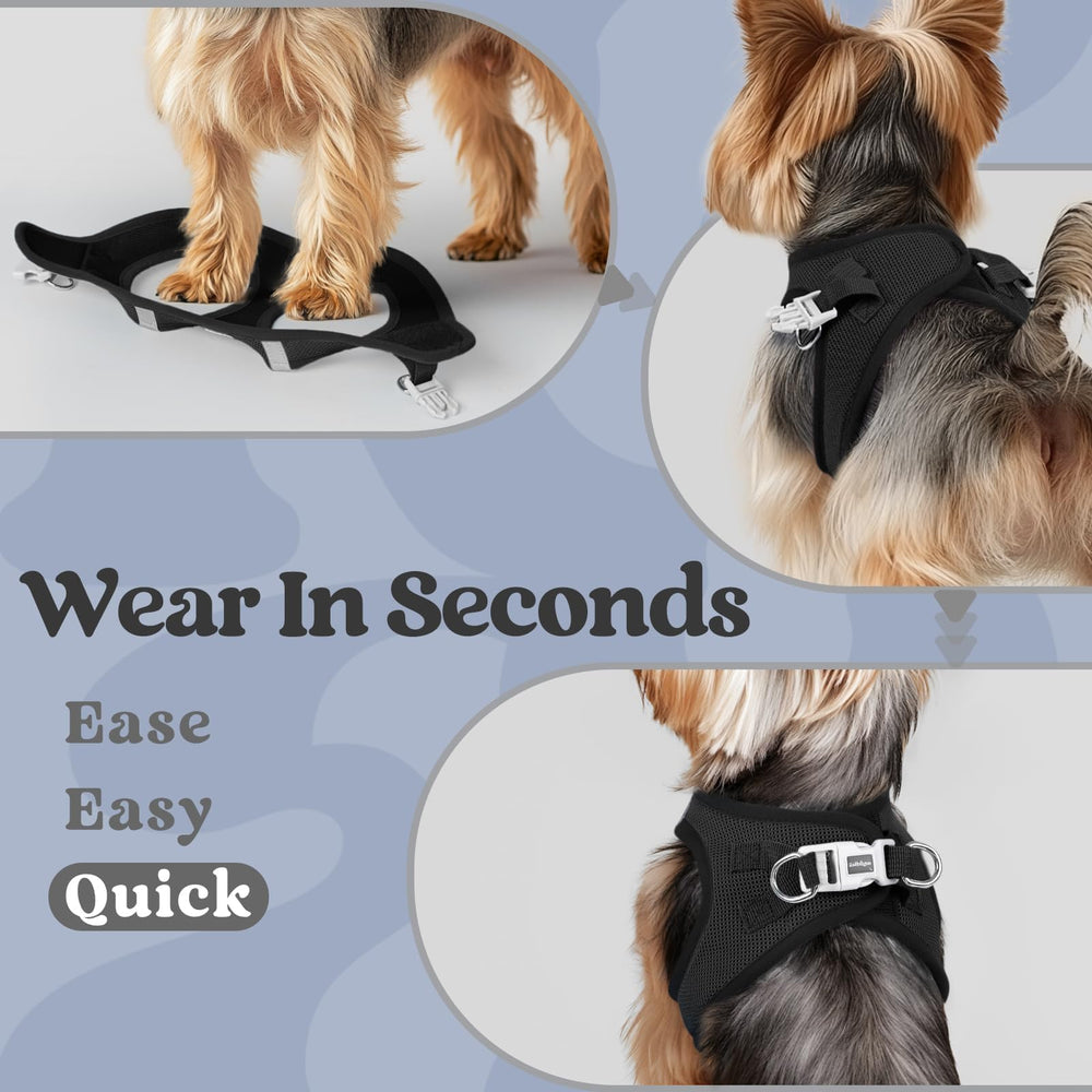 rabbitgoo small dog harness D-ring attachment detail.