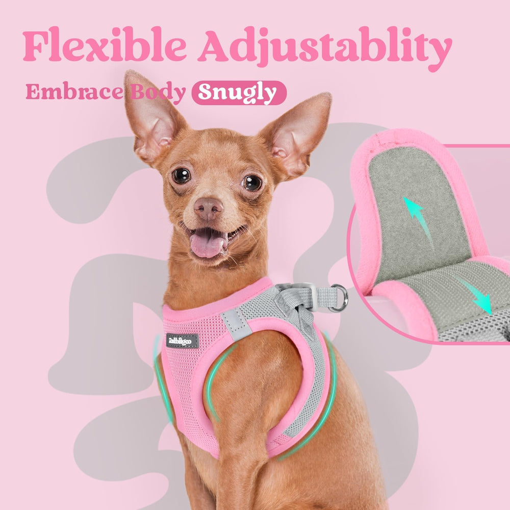 rabbitgoo Step-in Small Dog Harness D-ring leash attachment shown close up.