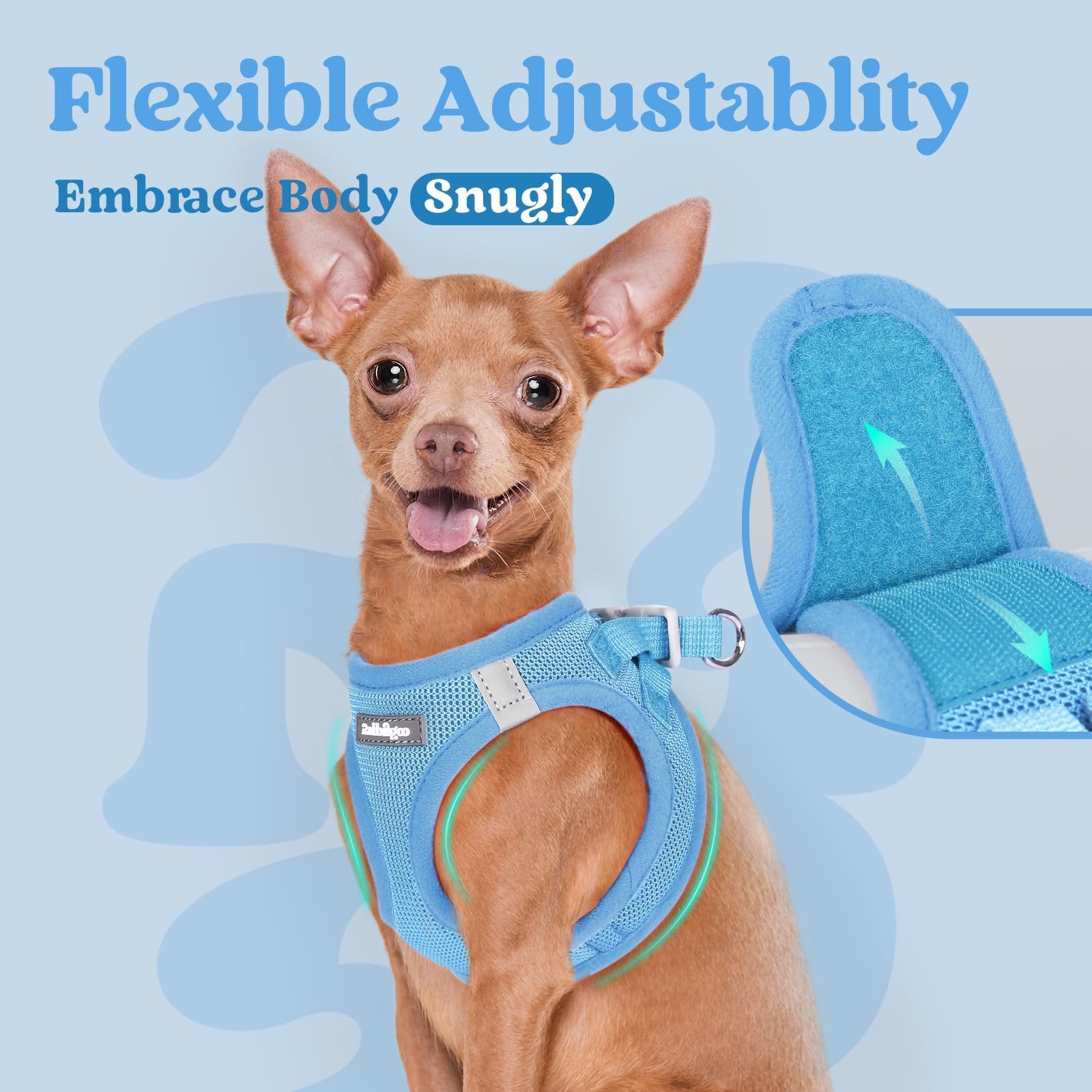 rabbitgoo Step-in Small Dog Harness D-ring shown in close-up.