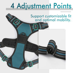 rabbitgoo small dog harness front metal leash attachment clip.