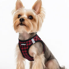 rabbitgoo small dog harness shown from the front.