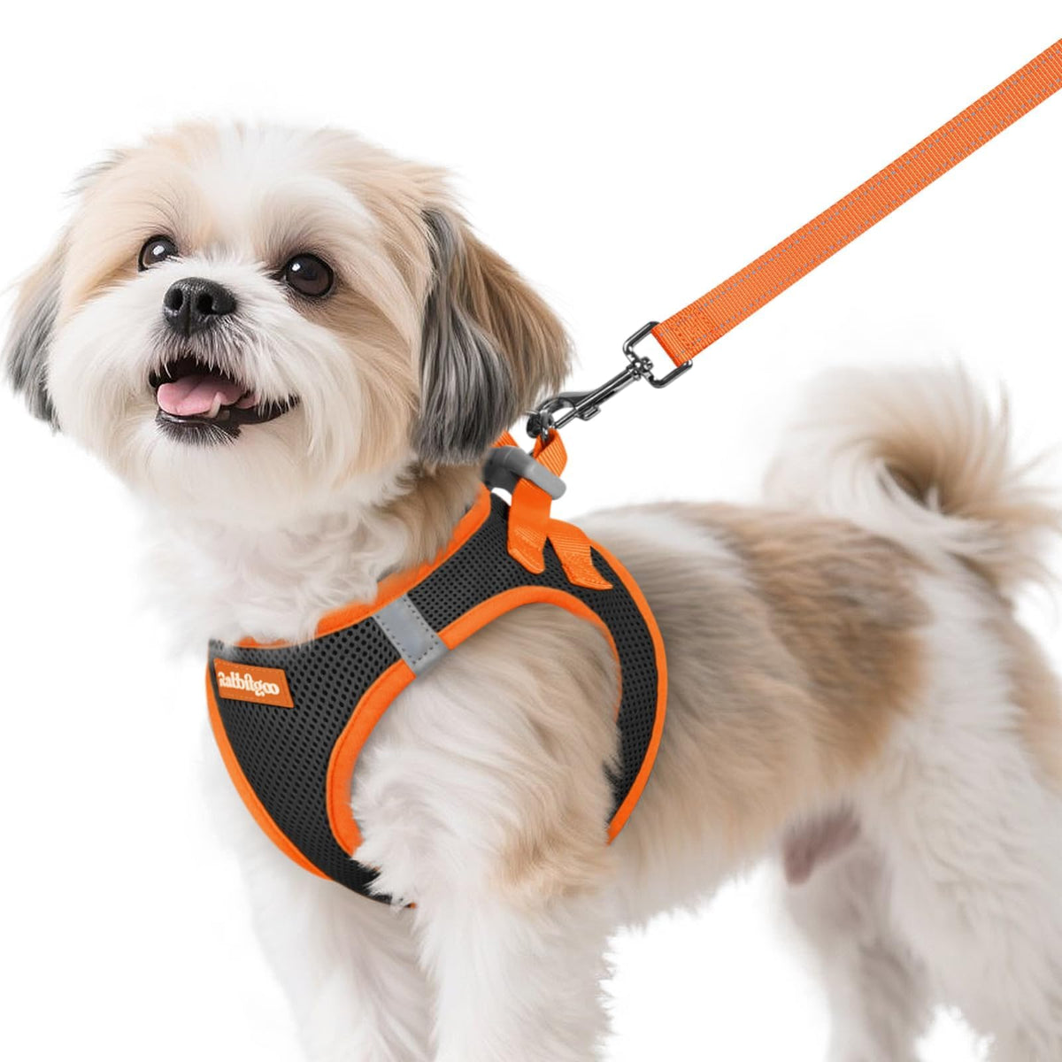 rabbitgoo small dog harness shown from the front.