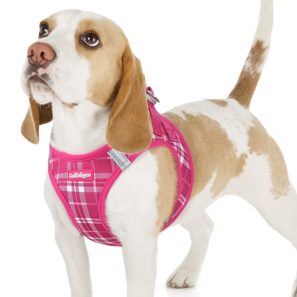 rabbitgoo small dog harness shown from the front as a step-in vest.