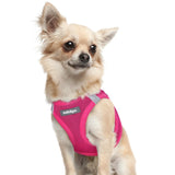 rabbitgoo small dog harness shown from the front.