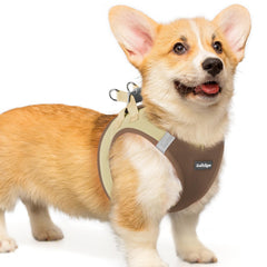 rabbitgoo small dog harness shown from the front as a step-in vest.