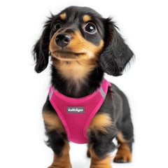 rabbitgoo Step-in Small Dog Harness shown from the front.