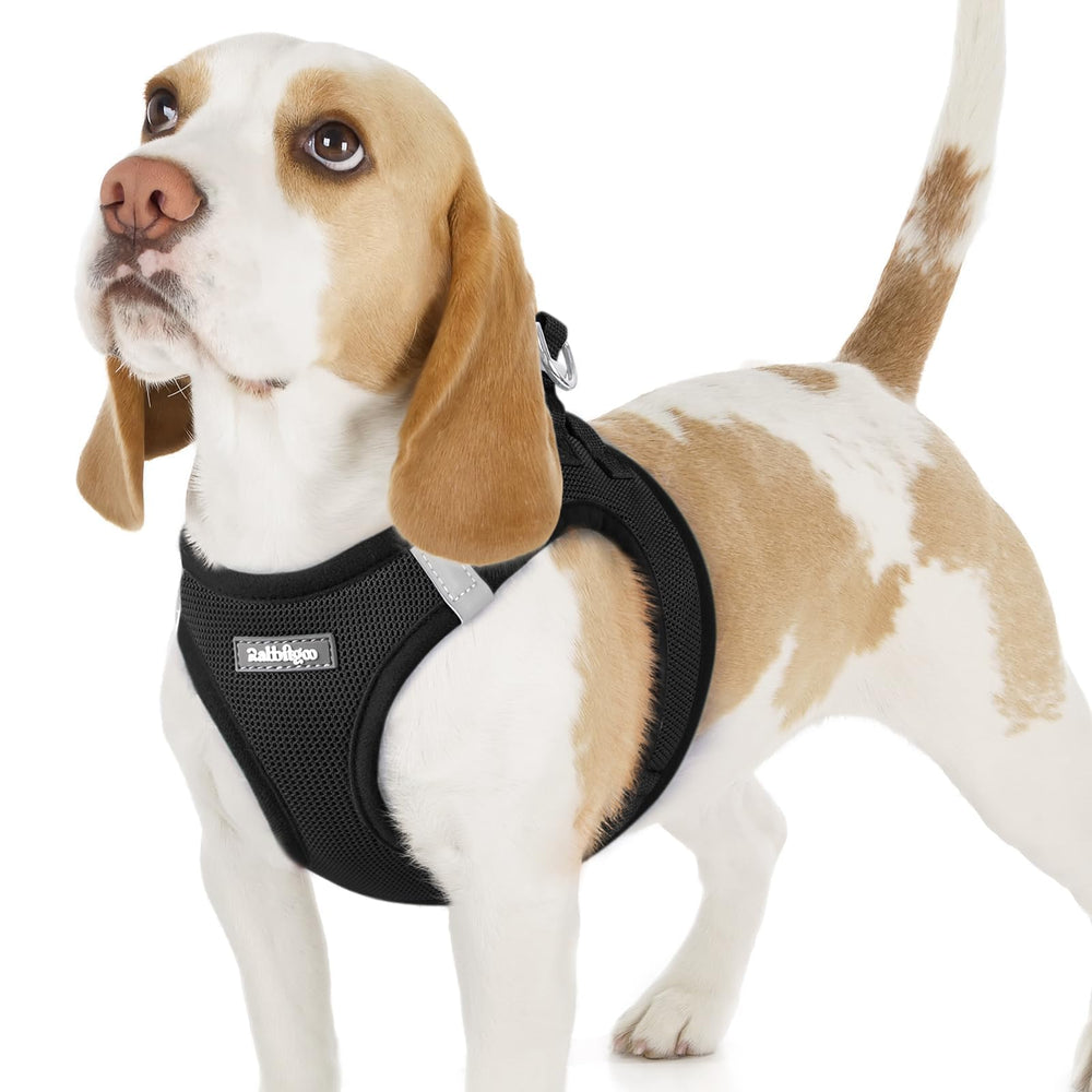 rabbitgoo small dog harness shown from the front.