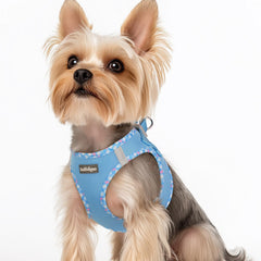 rabbitgoo small dog harness shown from the front.