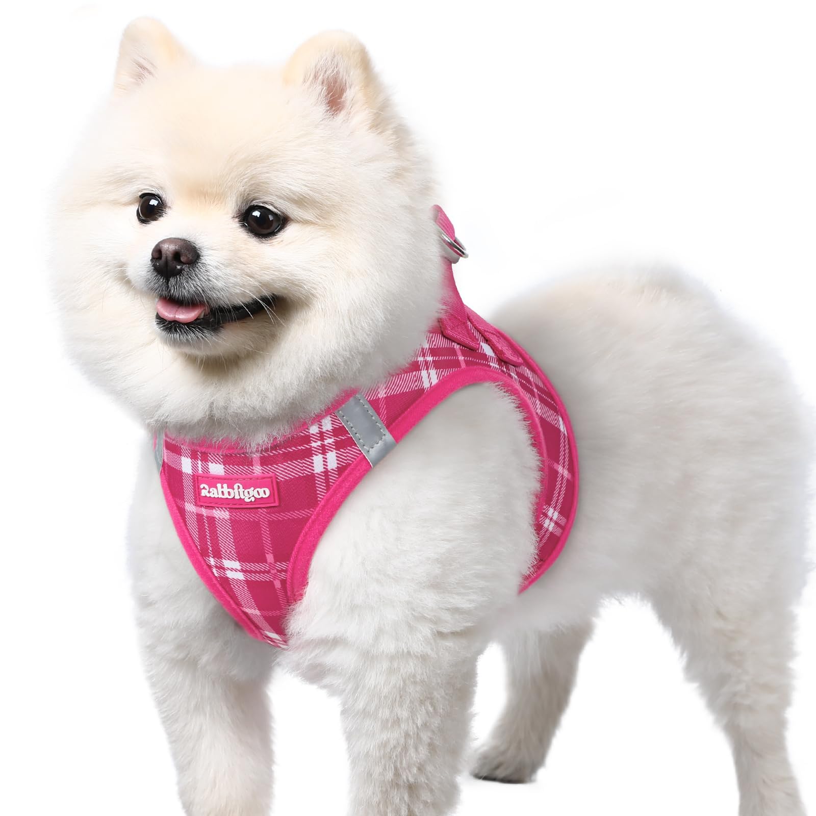 rabbitgoo small dog harness shown from the front.