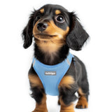 rabbitgoo Step-in Small Dog Harness shown from the front.