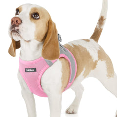 rabbitgoo Step-in Small Dog Harness shown from the front.