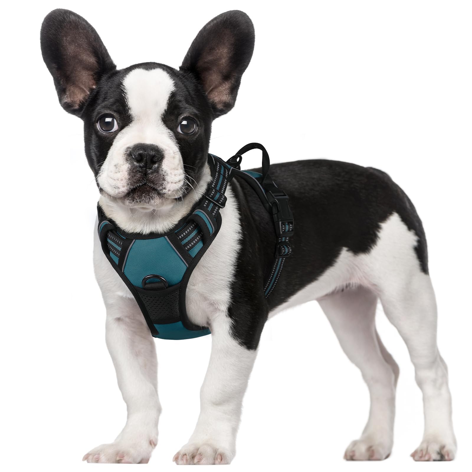 rabbitgoo small dog harness shown in a full product view.