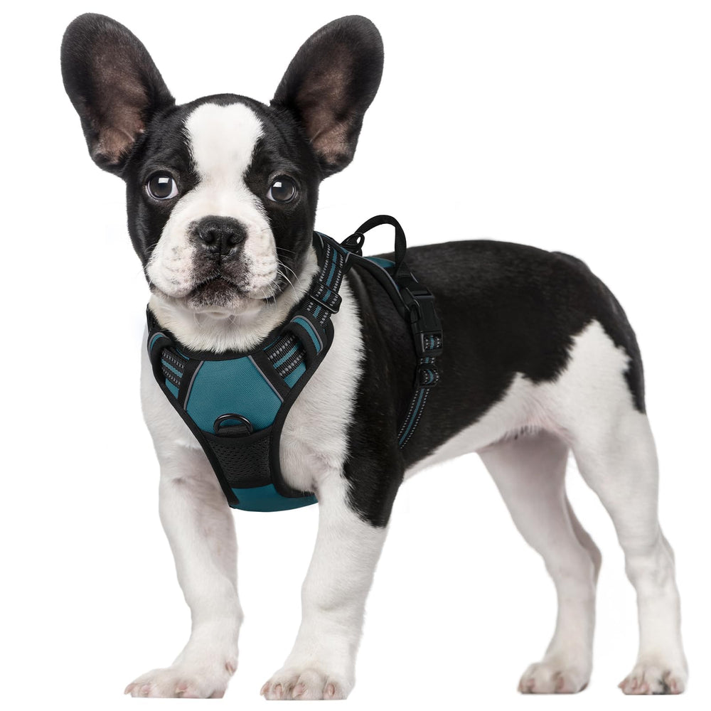 rabbitgoo small dog harness shown in a full product view.