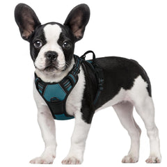 rabbitgoo small dog harness shown in a full product view.
